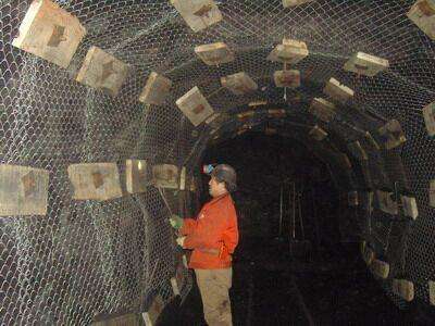 礦用勾花網 礦用勾花網